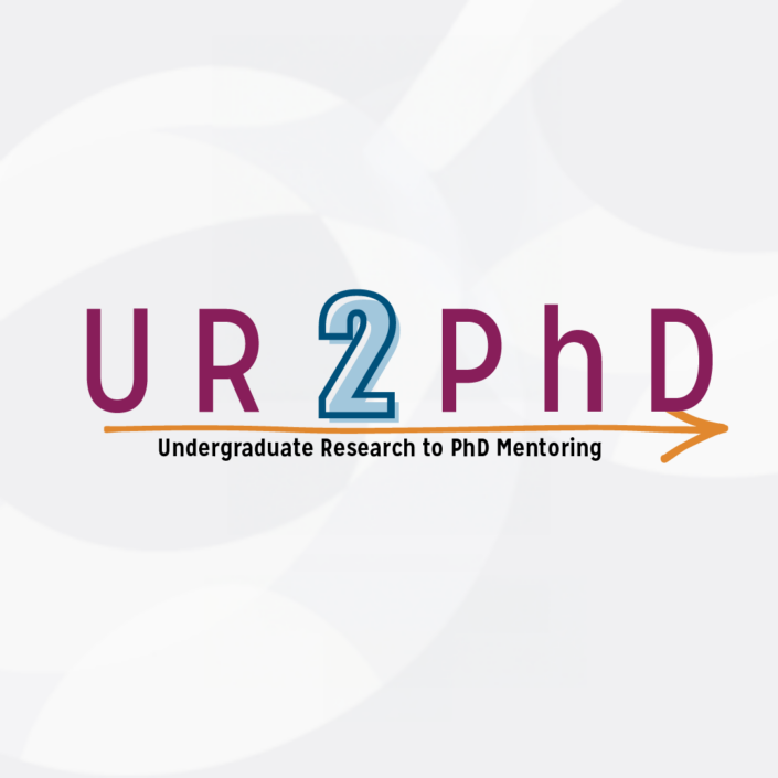 CRN-Fallbacks-1-UR2PhD_fallback-705×705